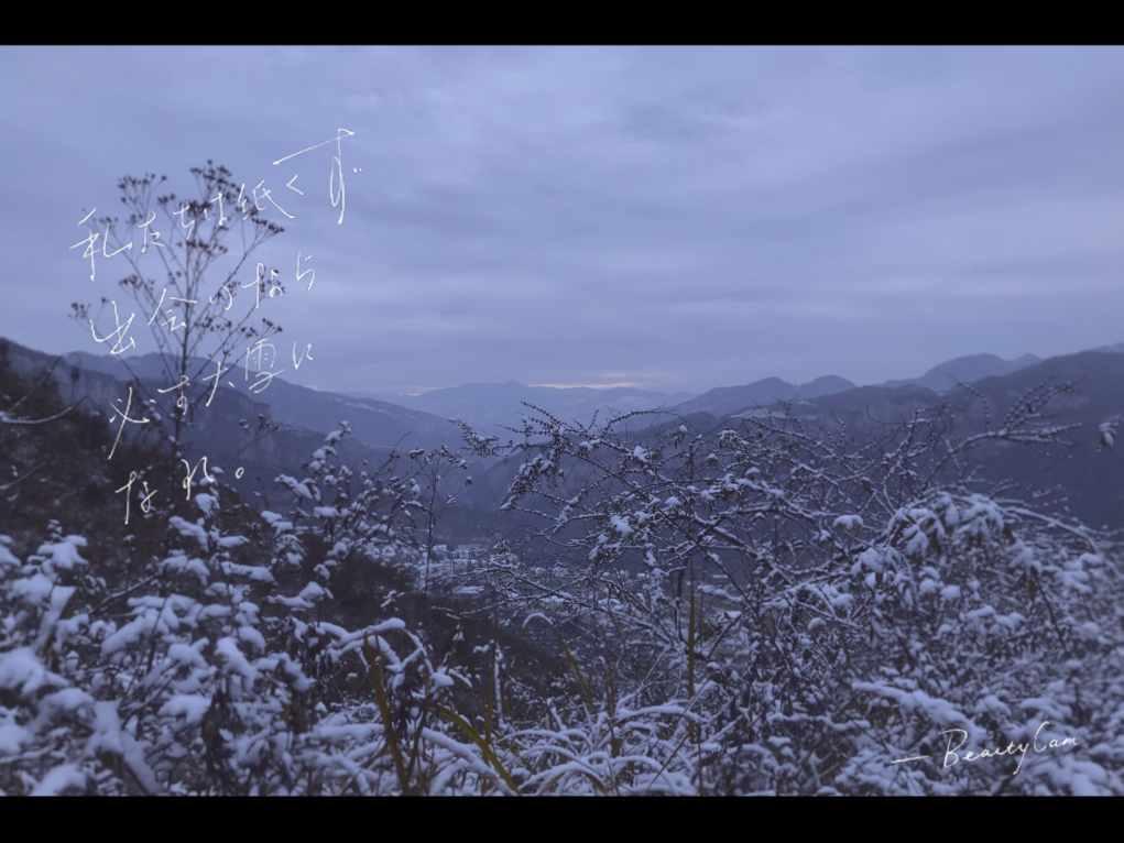 独步竹林