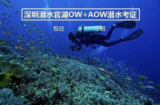 乌克兰最后一搏!北约大规模军演,9万大军待命,逼近俄家门口