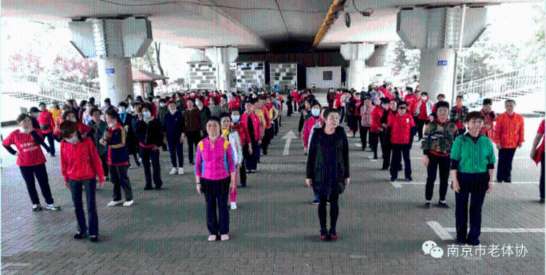 【快讯】陇西县第十八届人民代表大会第三次会议举行第二次全体会议