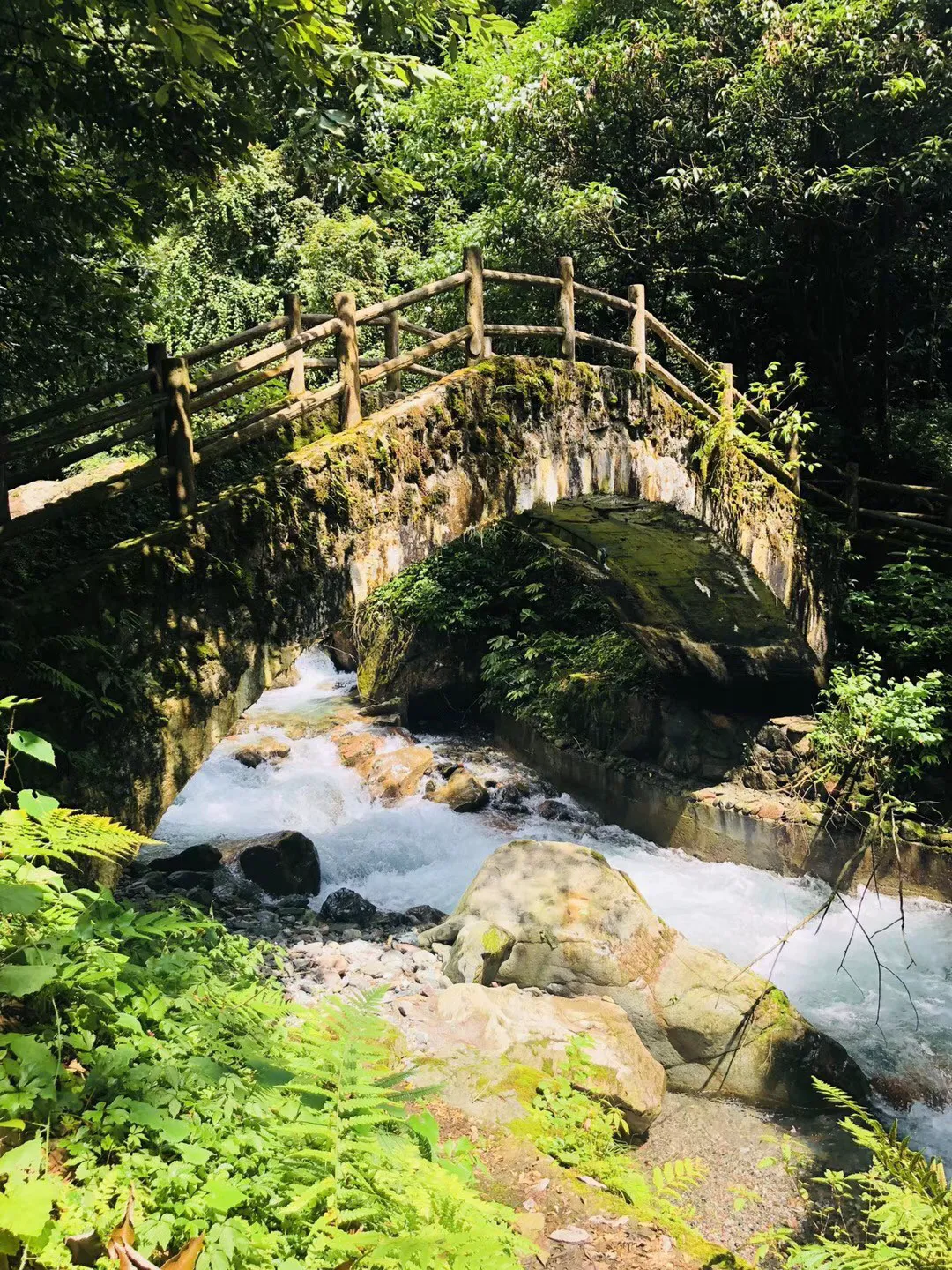 放逐之城