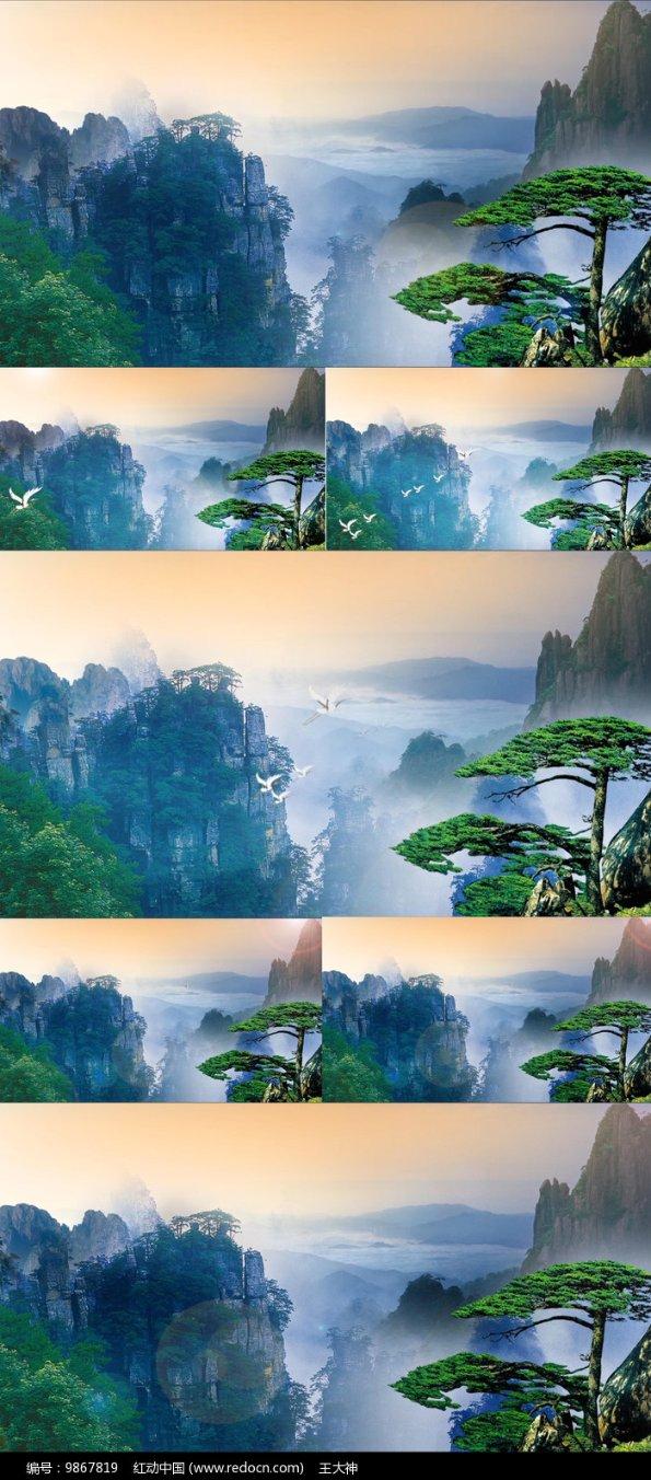 外强中干是指什么动物游戏画面